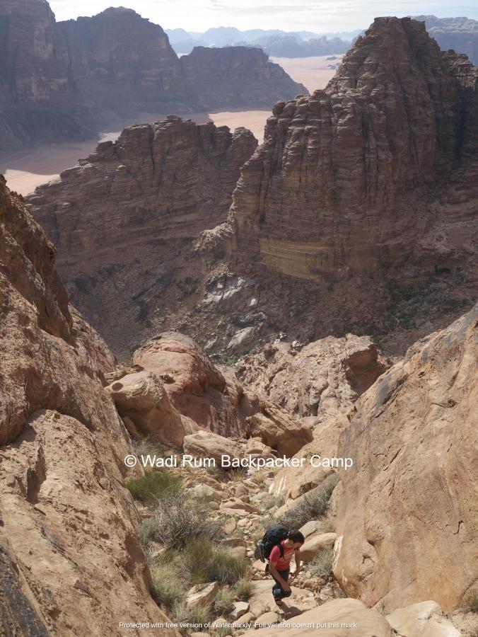 Wadi Rum Backpacker Camp Экстерьер фото